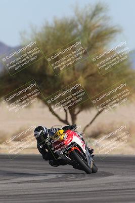 media/Oct-30-2025-Racers Edge (Thu) [[dabbdaf680]]/3-B Group/Session 5 Turn 4 Tree of Life/